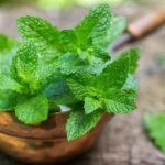 13 Healthy Ways To Use Fresh Mint